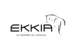 Ekkia