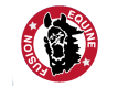 Equine Fusion