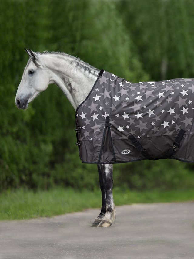 Derka York Night Sky