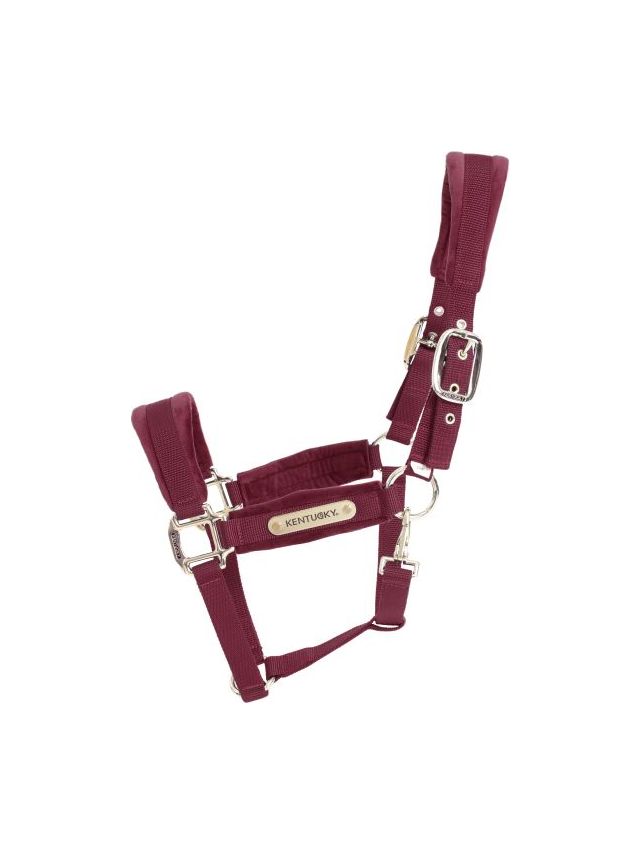 Kentucky Kantar Velvet