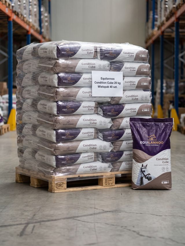 Wielopak - Condition Cube 20 kg - paleta 40 sztuk