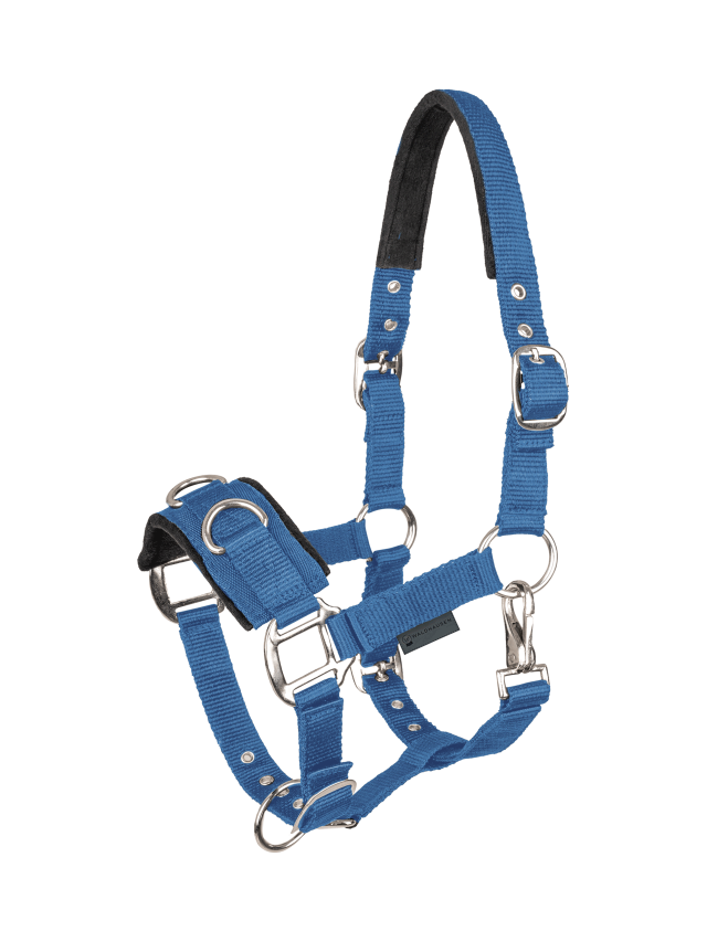 Kawecan Economic, azure blue, Full