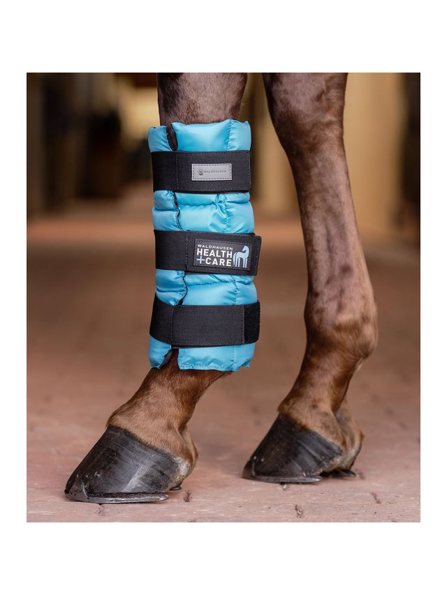 Ice boot