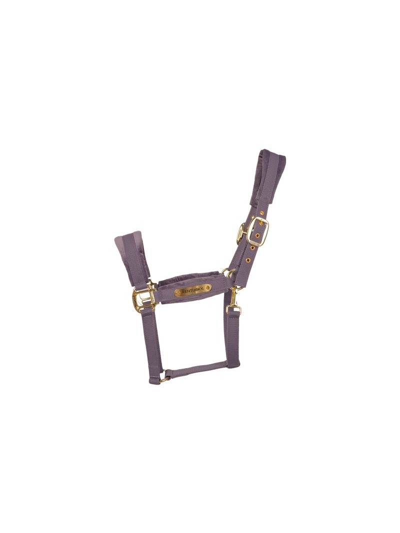 Kentucky kantar Welvet roz Full, purple