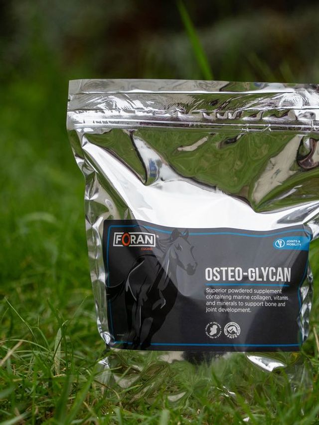 FORAN Osteo-glycan 1 kg