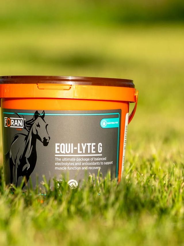 Foran Equi-Lyte G elektrolity