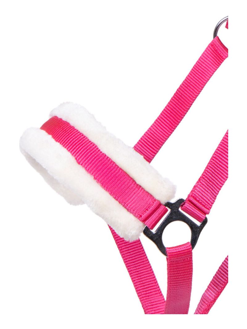 KANTAR CALI FUCHSIA