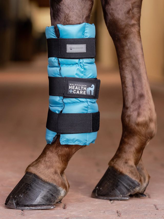 Waldhausen Healthy+Care Ice boot gel, Cob