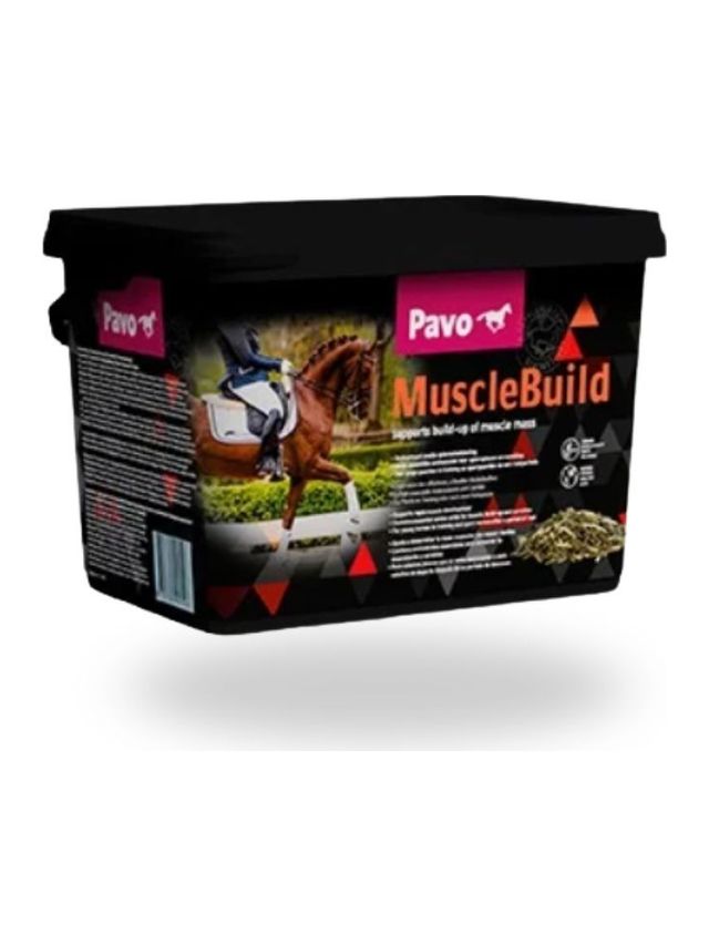 MusclebuildPavo