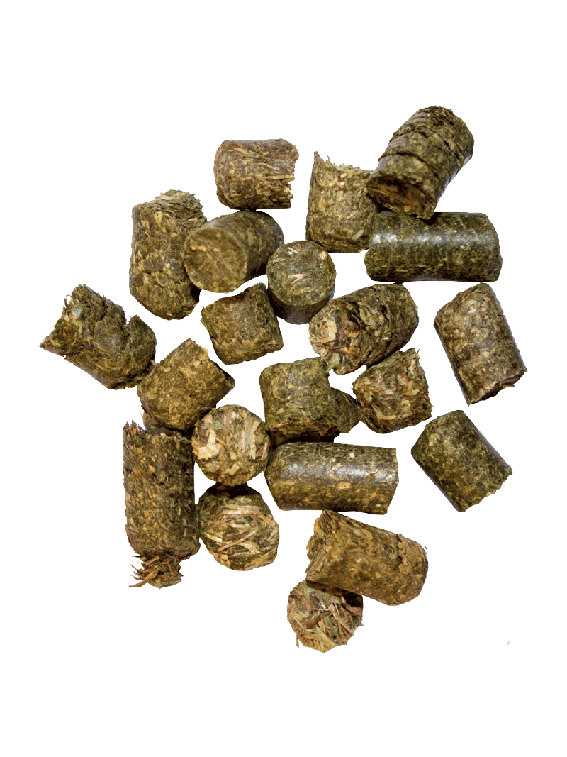 Wiesen Cobs 20 kg trawokulki