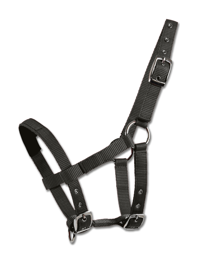 Waldhausen Kantar Mini-Shetty