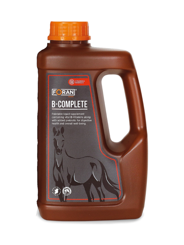 Prod koń Foran B complete