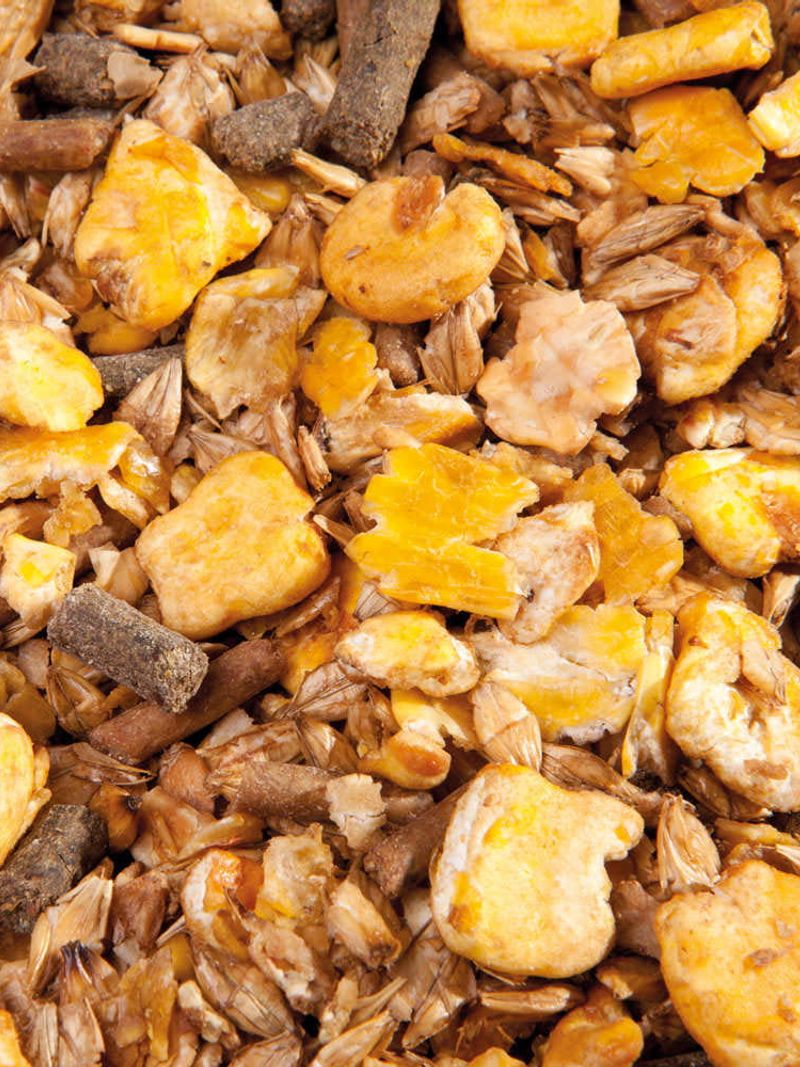 HIGH ENERGY MÜSLI 20KG - KONIE INTENSYWNIE PRACUJĄCE