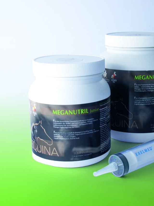 Equina Meganutril Junior  - witaminy i minerały