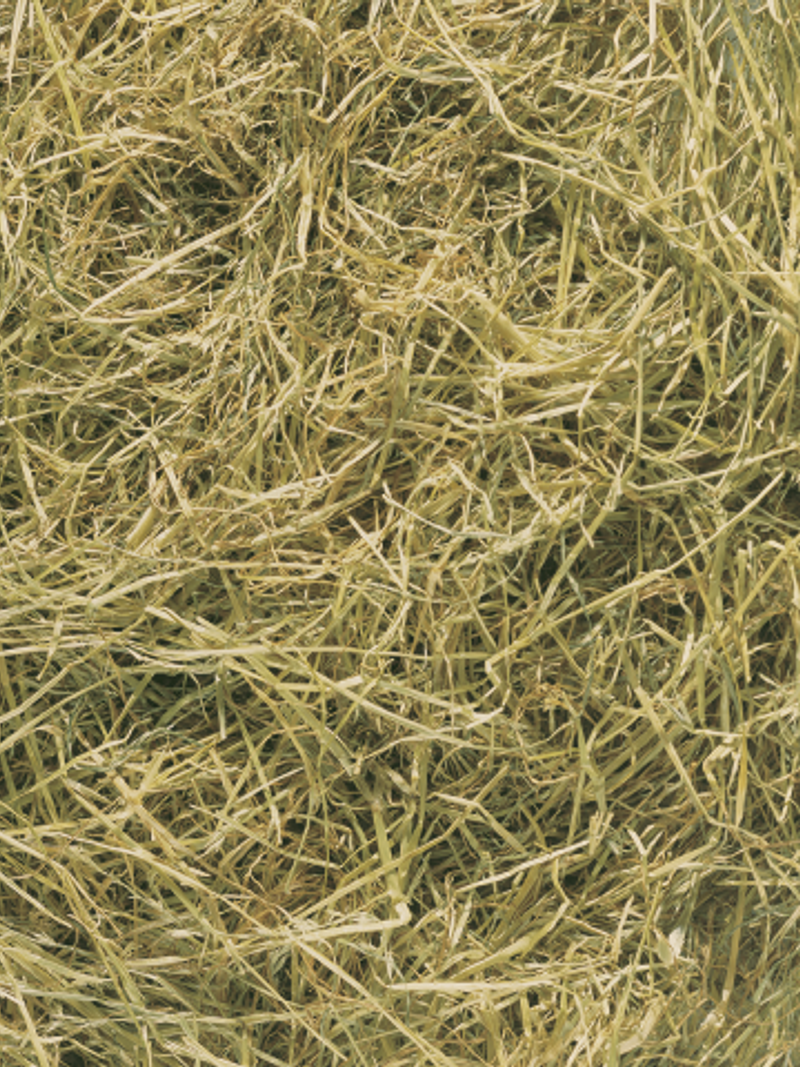Jopack Horse Dinner – sianokiszonka premium dla koni, bezpyłowa