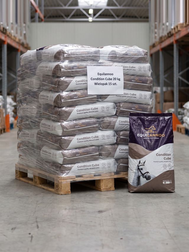 Wielopak - Condition Cube 20 kg - paleta 15 sztuk