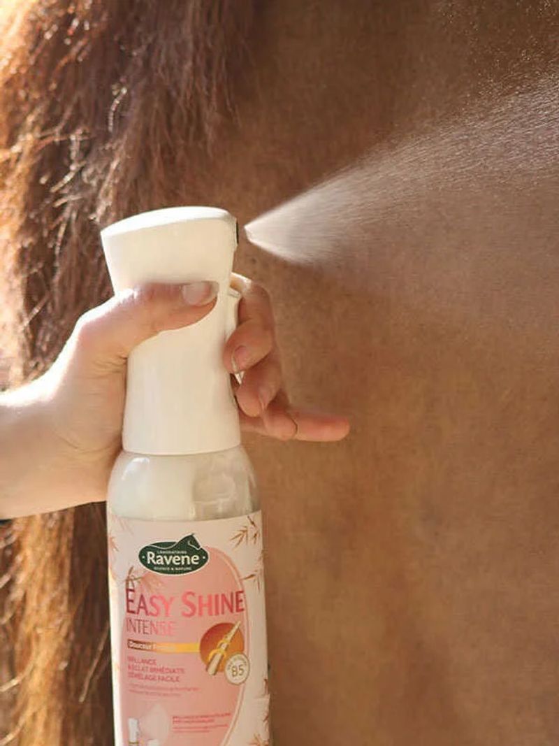 Easy shine intense ravene