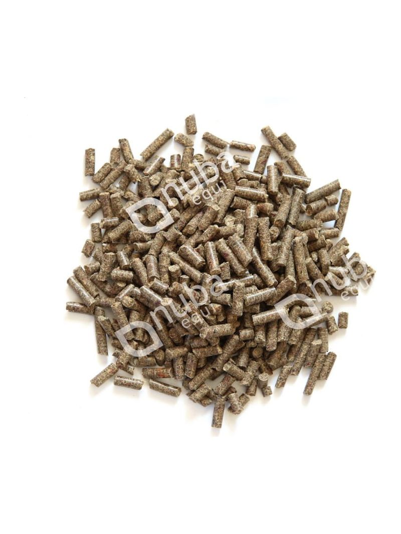 Nuba Speedy Beet Mix 20kg wysłodki buraczane mash