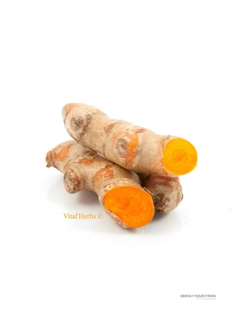 Vital Herbs Curcuma kurkuma 1kg - wsparcie stawów i mięśni konia | Obiegły Equestrian