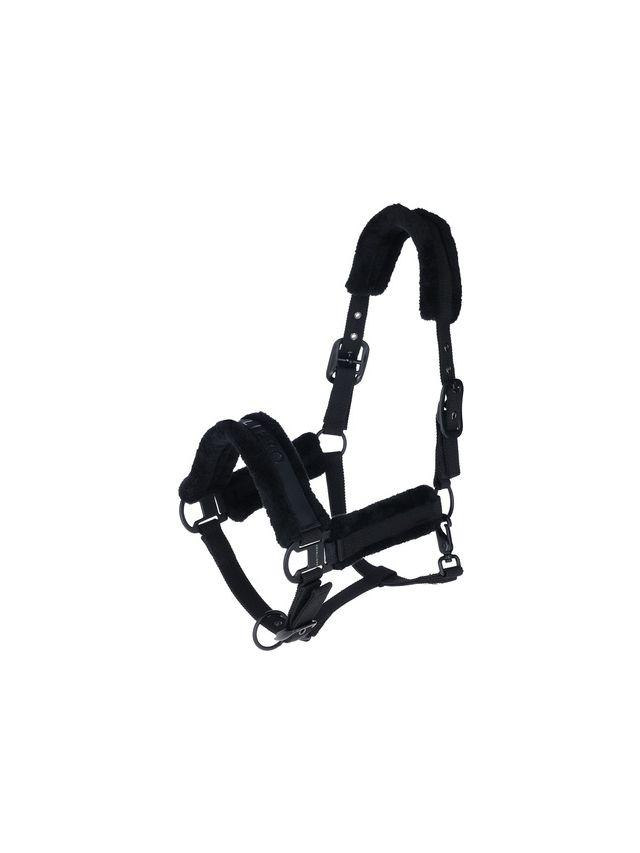 Kantar Covalliero, Black