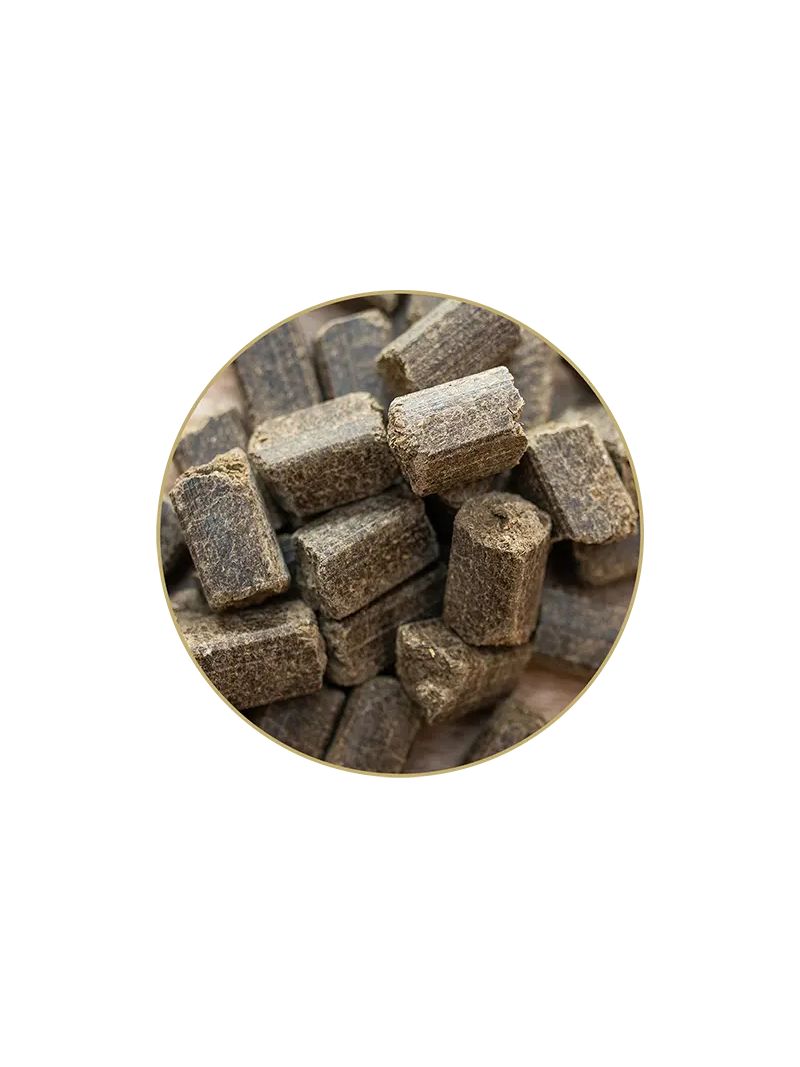 Sempercube hippolyt1