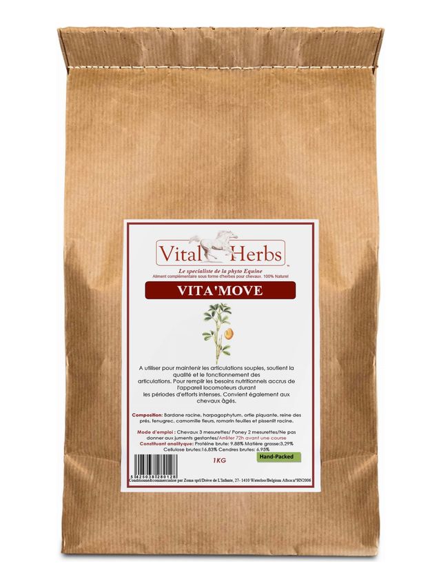 Vita’Move 1kg EKO – elastyczny ruch