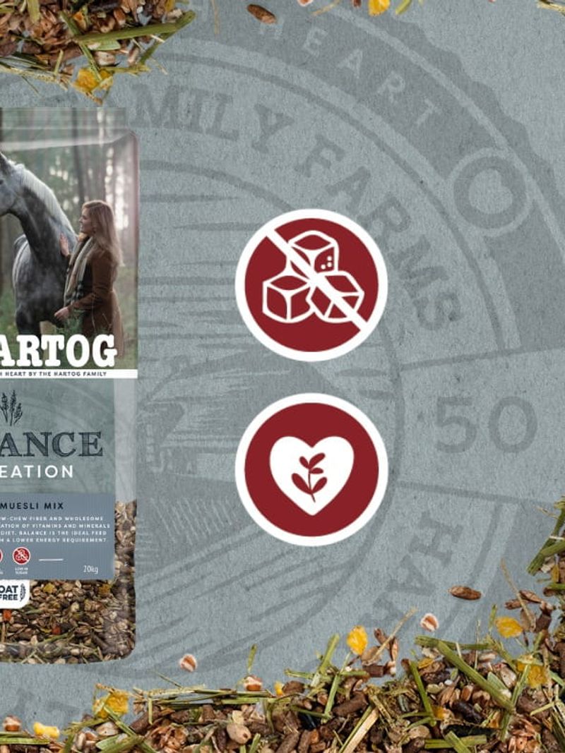 Hartog Balance 20kg lekkostrawne musli