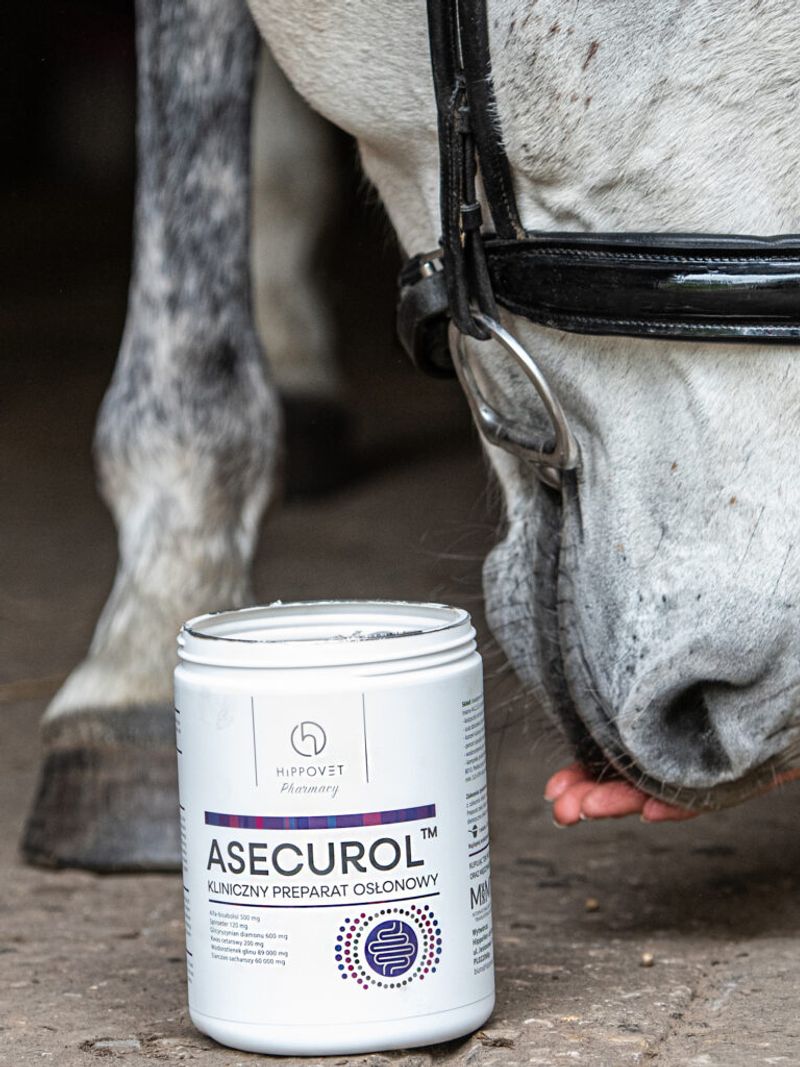 Prod hippovet asecurol konie wrzody