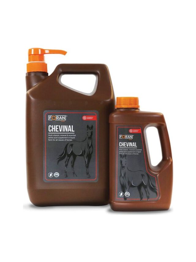 Chevi