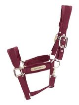 Kentucky Kantar Velvet