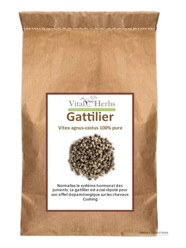 Vital Herbs Gattilier Niepokalanek pospolity 1kg - hormon w normie | Obiegły Equestrian