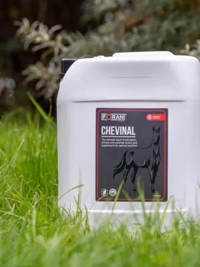 Prod koń Foran zdrowie Chevinal 10 L