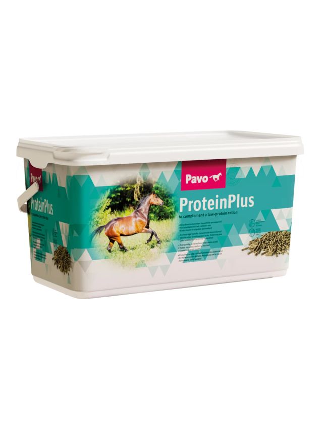 Pavo ProteinPlus 7kg, skoncentrowany dodatek białkowy z aminokwasami dla koni (wiaderko)