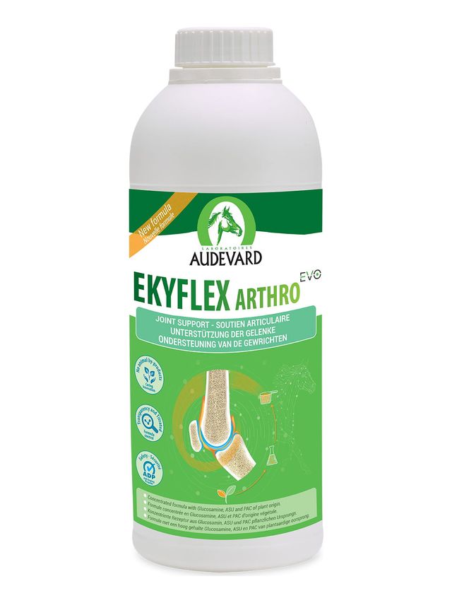 Audevard Ekyflex Arthro Evo Solution 1000 ml