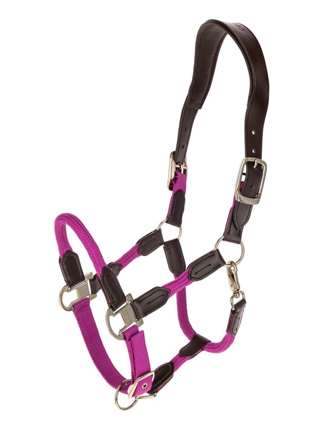 Kantar Cordano Deluxe S/S,light berry r.Full