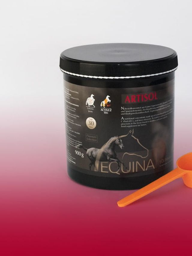 Equina Artisol 900 g - na stawy i ścięgna