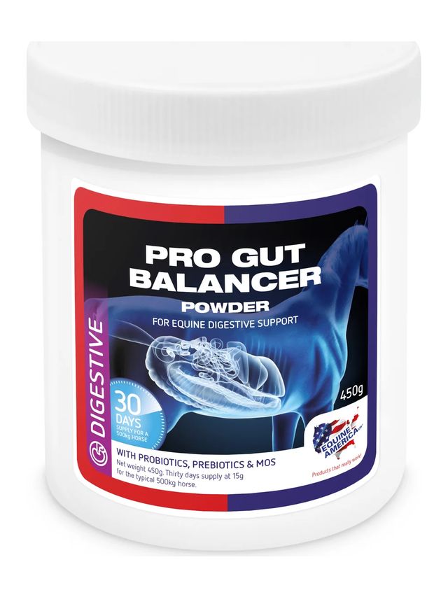 Prod koń zdrowie Pro Gut Balancer