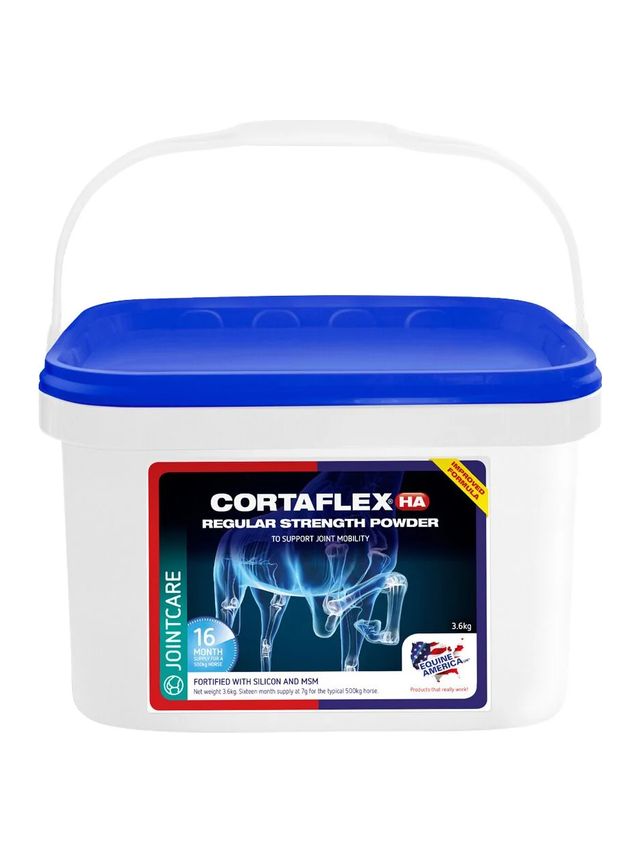 Prod koń zdrowie HA Regular Powder 3,6 kg