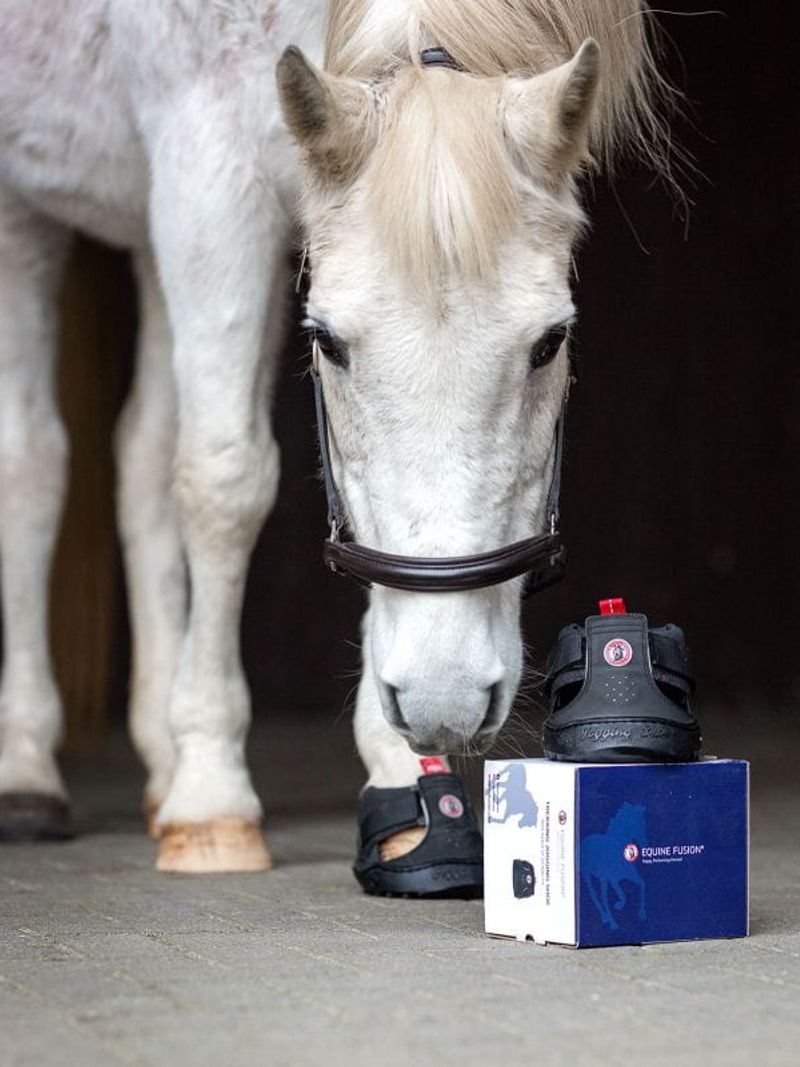 Buty trekkingowe Equine Fusion® 1 sztuka roz 15