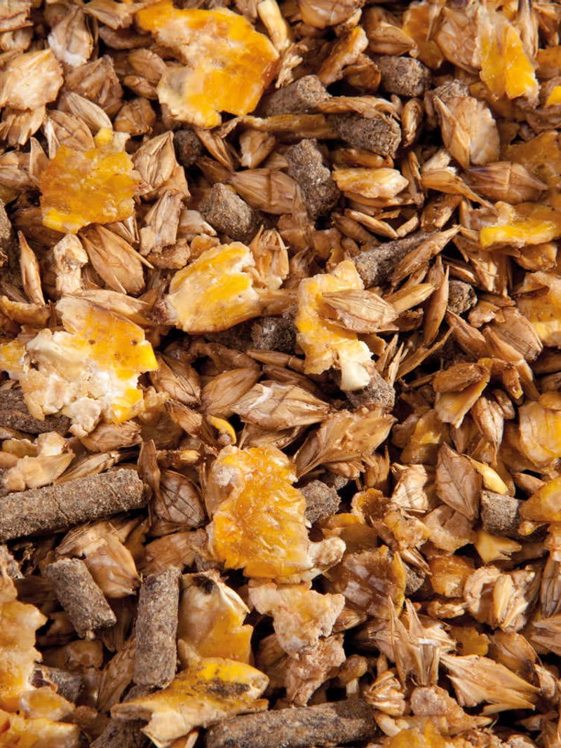 EMH CLASSIC MÜSLI 20KG - MUSLI BEZOWSOWE