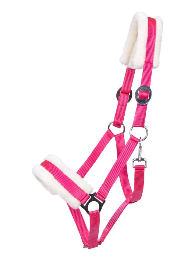 KANTAR CALI FUCHSIA