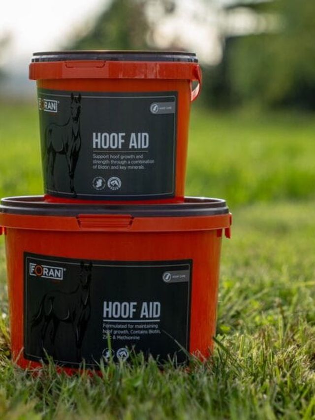 Foran Hoof Aid proszek