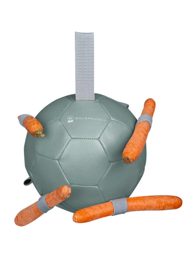 Piłka Carrotball - Waldhausen
