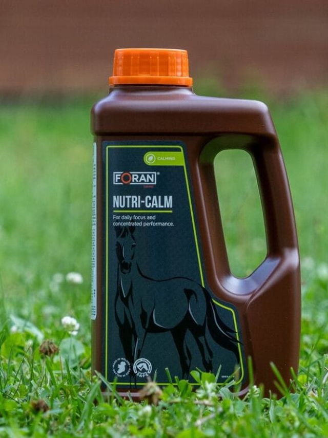 Foran Nutri-Calm 2,5 l – brązowa butelka preparatu na uspokojenie stojąca w trawie