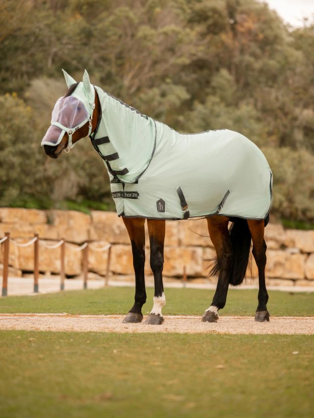 Derka Paso Fino UV Horze