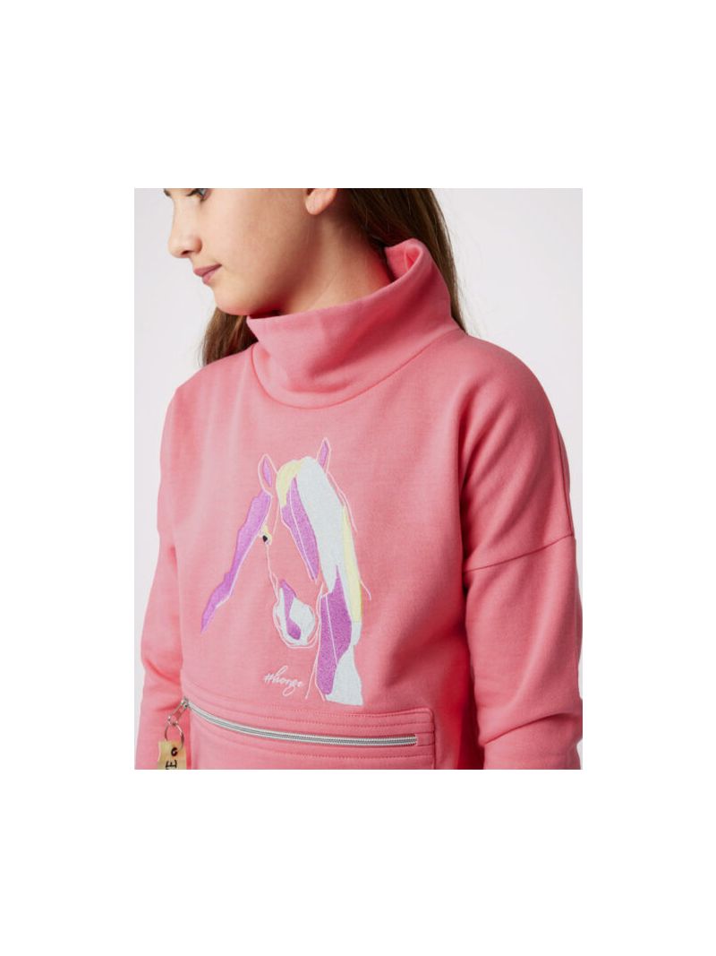 33791 Bruna Sweater Pink6 510x649