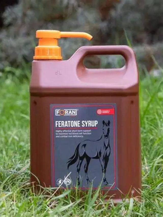 Prod koń Foran zdrowie Feratone 5 L
