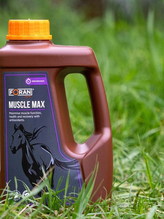 Foran Muscle Max