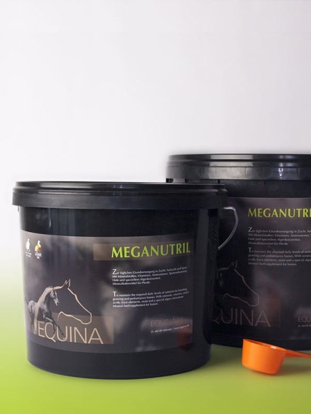 Equina Meganutril  - witaminy i minerały
