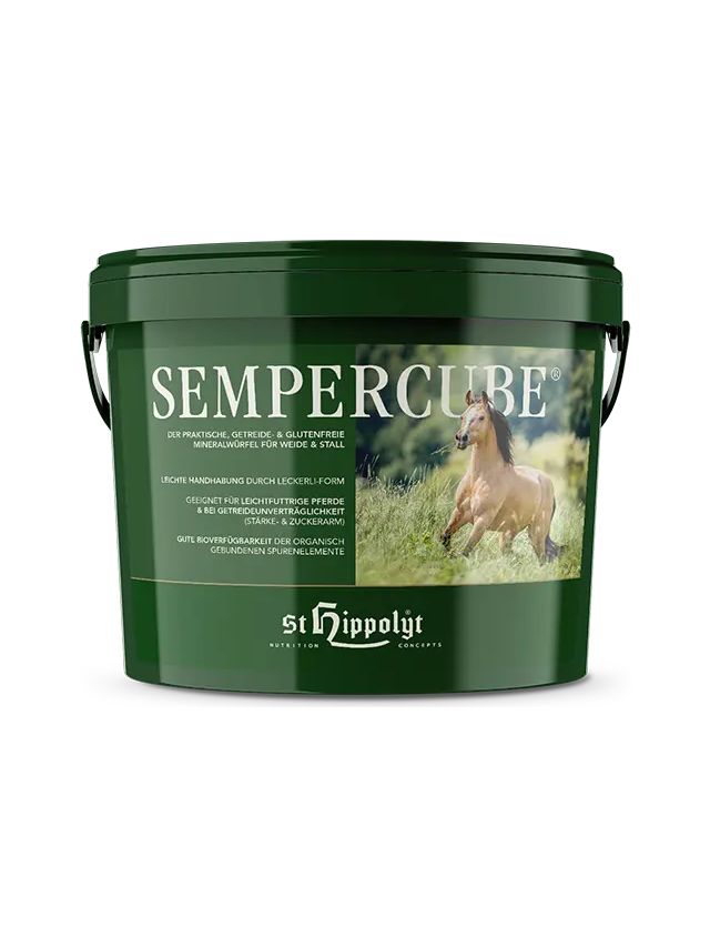 Sempercube hippolyt